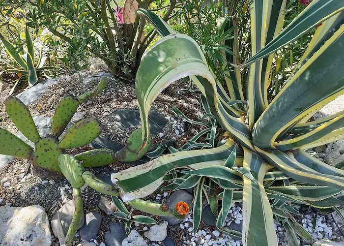 Gers Habitation * Montégut