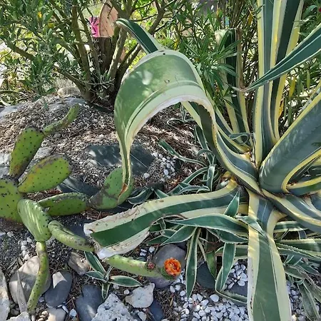 Gers Habitation * Montégut