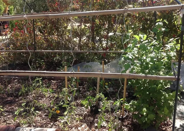 Gers Habitation Сasa de vacaciones *